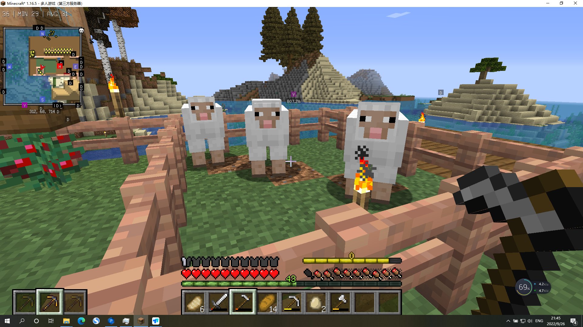 只狼：影逝二度 年度版 截图3