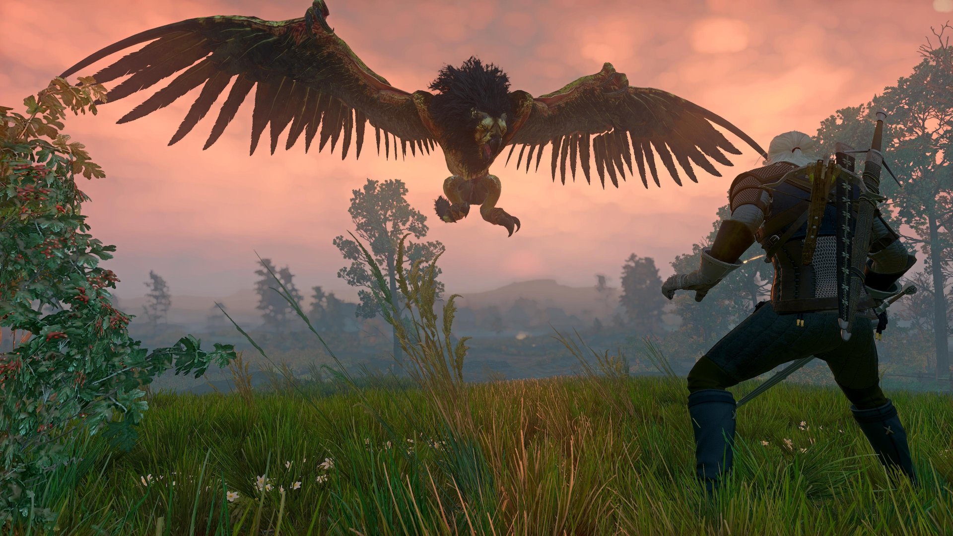 巫师3：狂猎 终极版 截图10